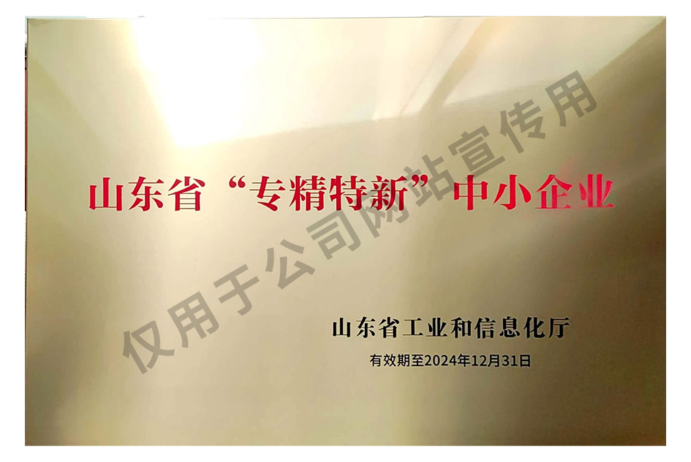 2021-山東省專精特新企業